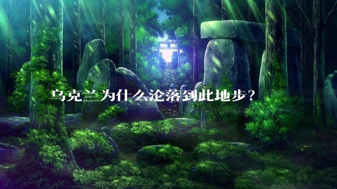乌克兰为什么沦落到此地步？